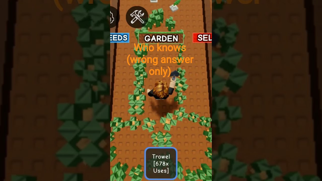 Wrong Answer Only