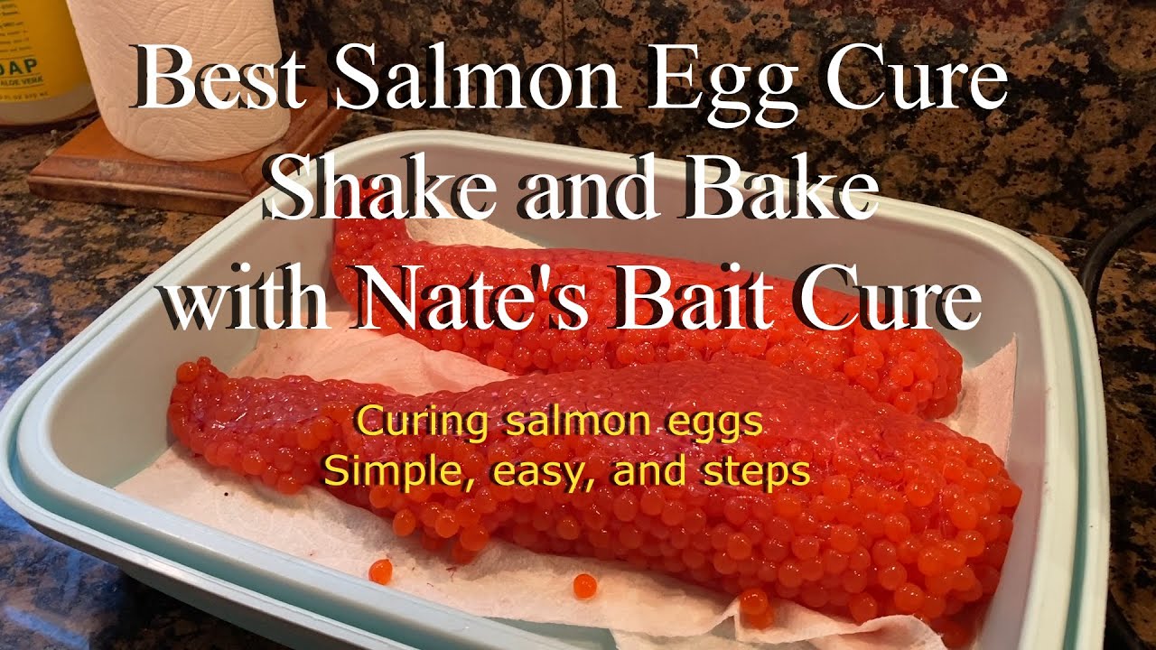 How to cure salmon eggs for fishing. 