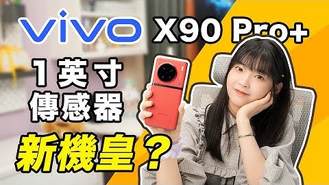 Vivo X90 Pro+：最被低估的机皇？1英寸大底、骁龙8Gen2、IP68｜大狸子切切里 - 天天要闻