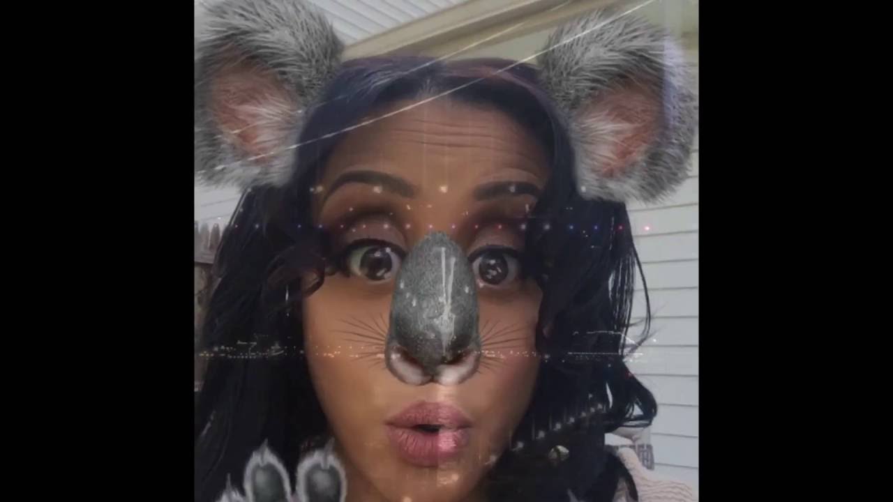 Random Funny videos! 