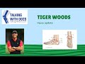 Tiger Woods Injury Update - Surgeons Explain