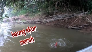 Download Lagu Sekian lama menyepi akhirnya dia kembali MP3 Download Lagu Sekian lama menyepi akhirnya dia kembali MP3