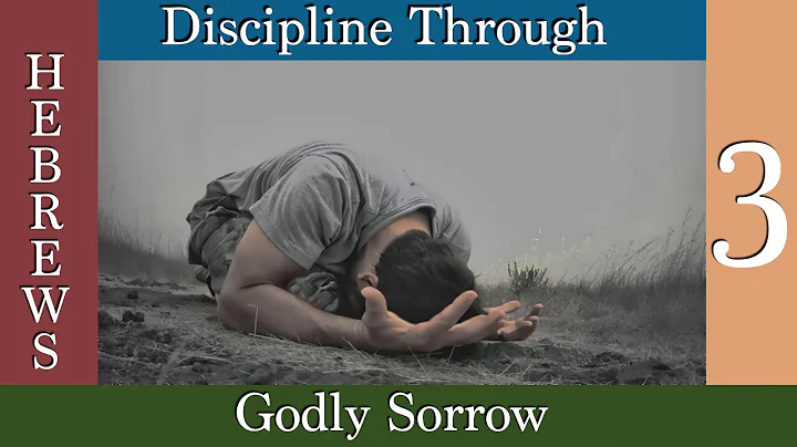 Discipline Through Godly Sorrow - Hebrews Part 3 -...