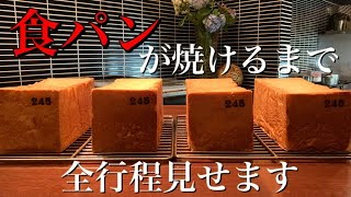 【食パン245】1日4本限定の食パンが出来るまでの全てを見せます。