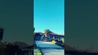 Moments of peace and happiness