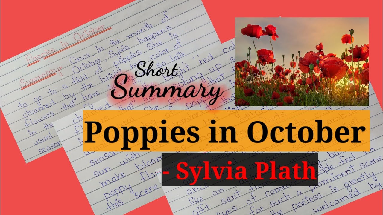 Poppies in October by Sylvia Plath | Poem summary explanation - YouTube