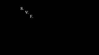 S. V. F. Screen and Warning Screen Recreation (Without 1986 The Video Collection Logo)