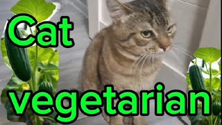 The cat is a vegetarian.