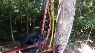 SRT climb with a Kong Duck. Ascent to a ring to ring friction saver set  from the ground - YouTube