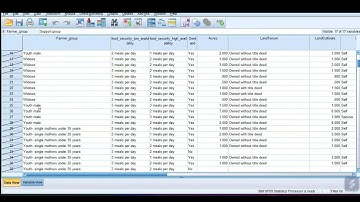 Selecting Cases or Observation in SPSS