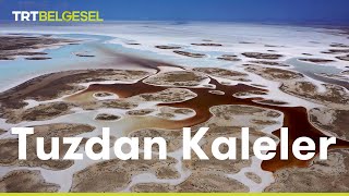 Tuz Gölü: Tuzdan Kaleler | TRT Belgesel