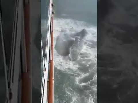 The cruise ship Norwegian Sun hits a minor iceberg in Alaska.