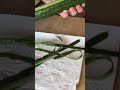 Satisfying Cucumber Peeling 🥒✨ #Shorts #Satisfying #OddlySatisfying #ASMR  #Cucumber #Peeling