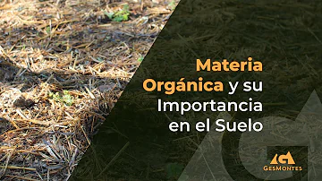 ¿Qué es la materia orgánica y cuál es su importancia en el suelo?