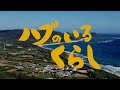 【ハブのいるくらし】〜ハブ学習動画