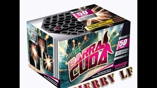 vuurwerk 2016/2017   Barracuda