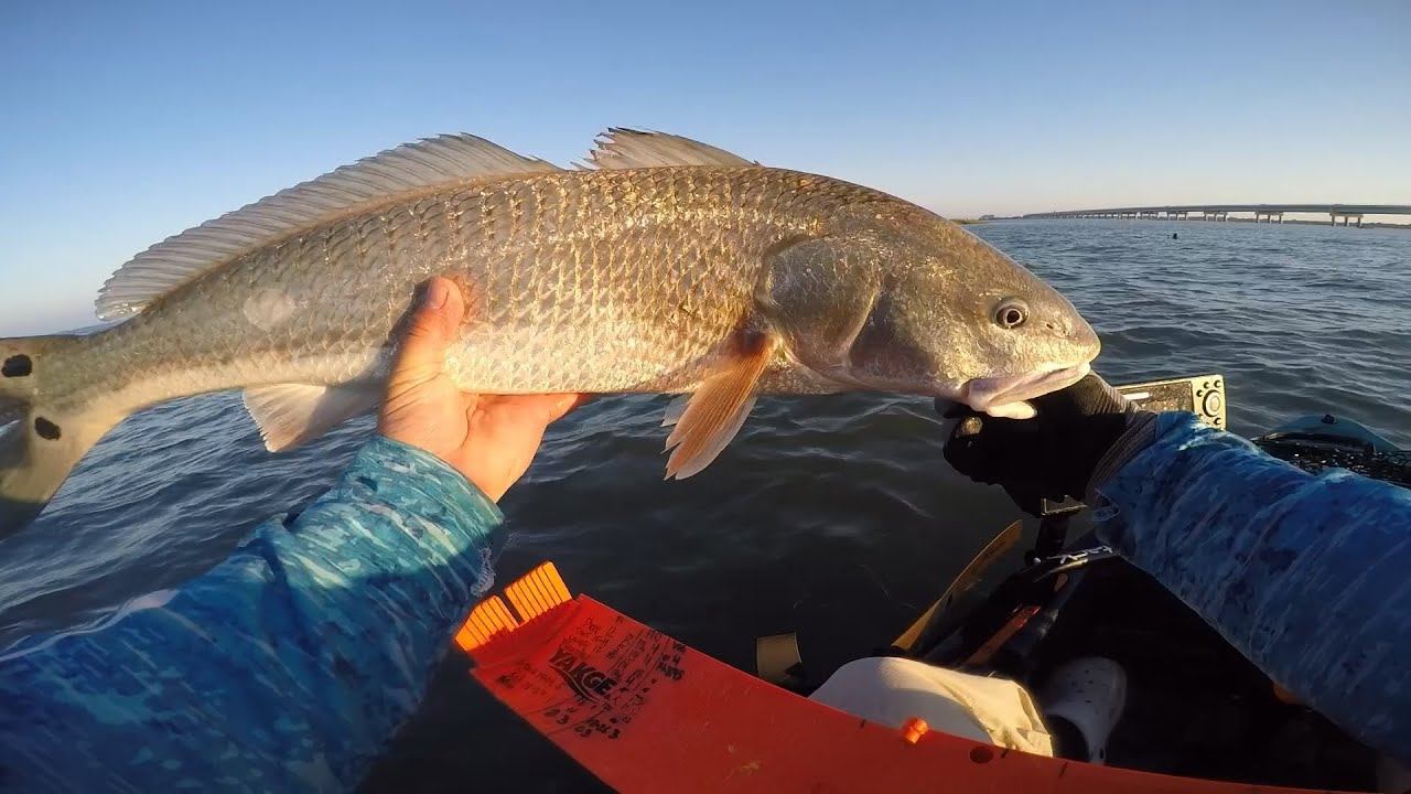 Outer banks NC september kayak fishing