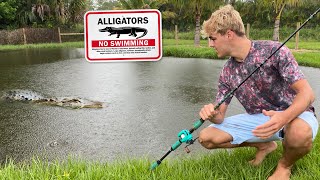ALLIGATOR Snuck into My BACKYARD & ATE My ANIMAL!!