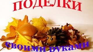 Ежик. Поделки на тему осень своими руками из природных материалов. Diy Ежик. Поделки на тему осень своими руками из природных материалов. Diy