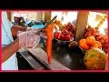FRUIT NINJA of FRUITS | Amazing Fruits Juice Cutting Skills | Indian Street Food In 2019