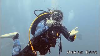 Koh Tao 2024 - Ocean Dive & BigBubble