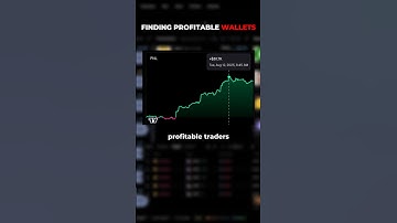 How To Find Profitable Memecoin Wallets To Copy Trade
