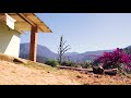 Visión de reojo  (adaptación)
