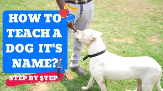 How to Teach A Dog It's NAME (Step by Step)