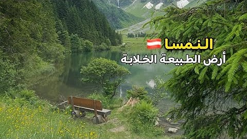 رحلتي الى النمسا مدينة الطبيعة | كل شيء يخص السفر الى النمسا 🍃💚