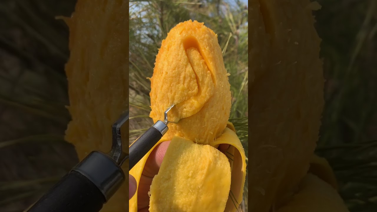🥭 How To Carving Fresh Mango 🥭 | Fresh Fruit Cutting In My Farm