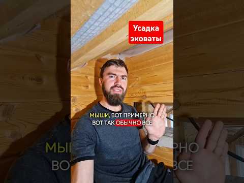 Эковата дала усадку через 6 лет? #эковата #строимдом #домподключ #двойнойбрус #строительство #топ