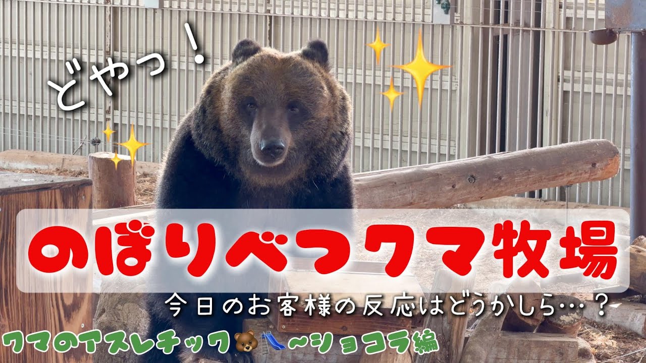 2026/01①] Bear Athletics 🐻 Chocolat Edition - YouTube