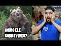 A VERDADE SOBRE O RUSSO E O URSO! ELE SOBREVIVEU?