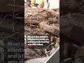School Roof Collapse Leaves 34 Students and a Teacher Dead in Pakistan #shorts