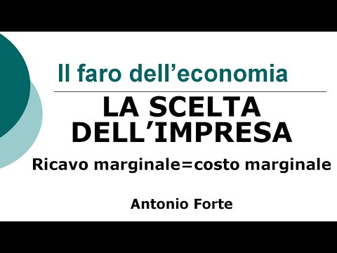 Video: Cos'è la massimizzazione del profitto e della ricchezza?