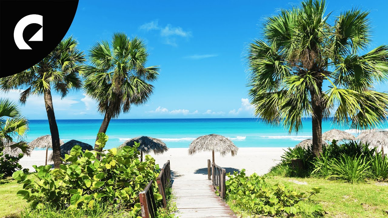 The Best Calypso Songs (1 Hour) (Royalty Free Music) YouTube