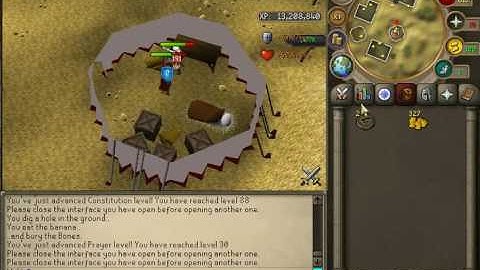 RSPS Coding Presents || SeriousPs || Brand New RSPS looking for Staff Eco