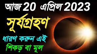 20 April সূর্যগ্রহণের পর বাড়িতে নিয়ে ধারণ করুন এই গাছের মূল। প্রতি বছর সব কাজ সফল হবে সুনিশ্চিত