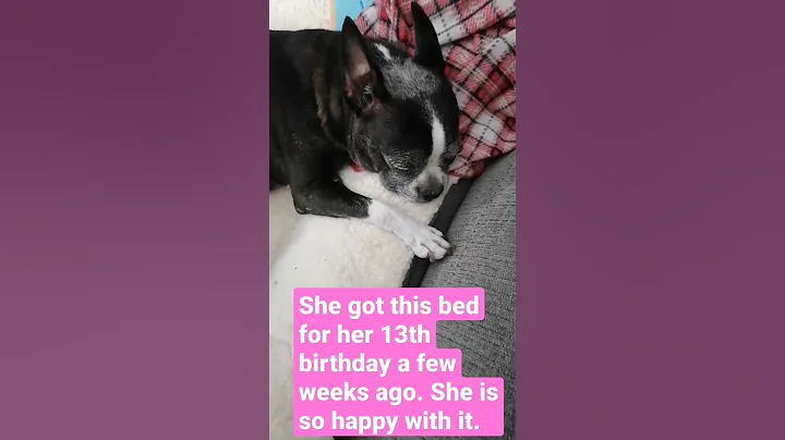 she loves her bed
