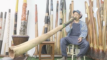 Jesse lethbridge Didgeridoo Key of B Web code 8148