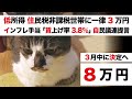 【住民税非課税世帯へ3万円給付＋特別給付金5万円】追加物価高対策 一律のインフレ手当「賃上げ率 爆上げ3.8%」自民党 故安倍晋三 積極財政の議連「予備費5兆円フル活用を」