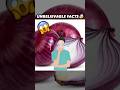 Pyaj Se Aankho Me Pani Kyu😱|| #facts #viral #shorts #ytshorts #viralvideos #shortsviral