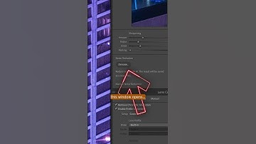 Adobe Lightroom AI Noise Reduction with the Leica SL2