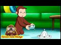 Curioso come George 🐵La lasagna solare 🐵Cartoni Animati per Bambini 🐵George la Scimmia