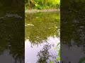 relaxing fishing