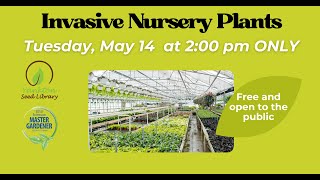 Yankton Seed Library   Invasive Nursery Plants