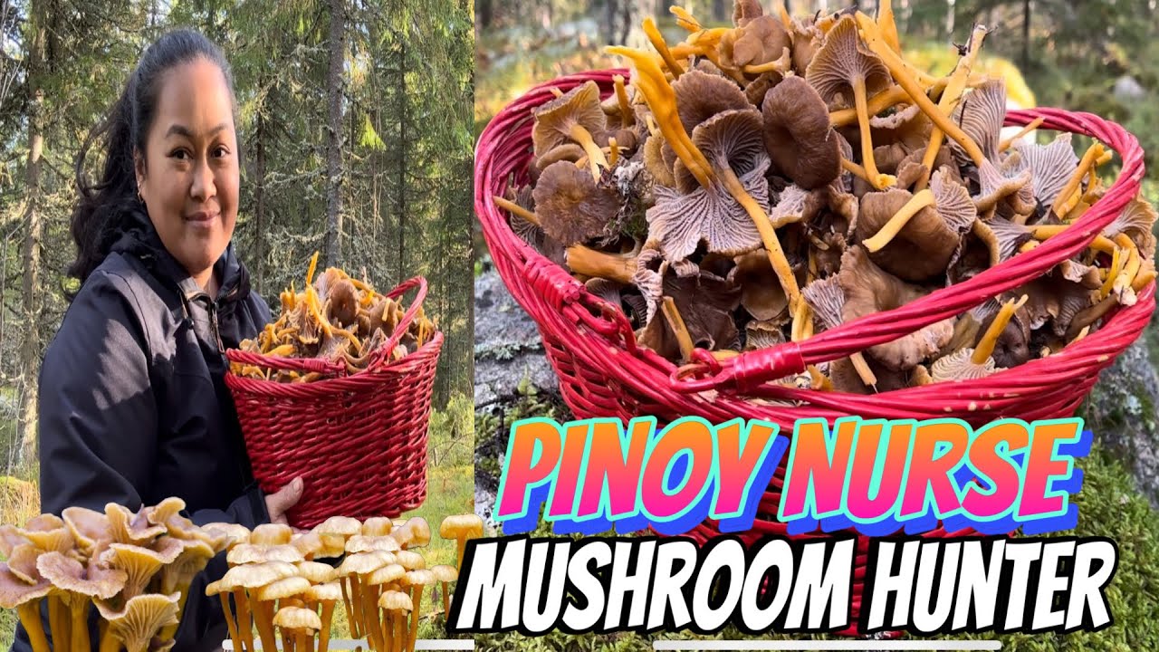 PUNO ANG BASKET NG MGA KABUTE 🥹🥹| THE LINDEMANS