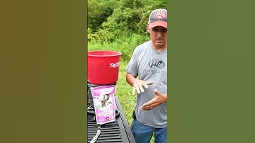 Saving A FAILED Food Plot!! #shorts