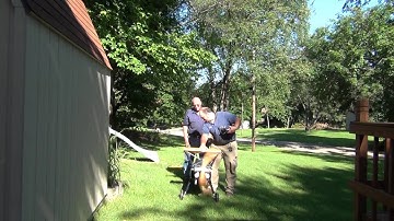 Update?? Stearman first engine run