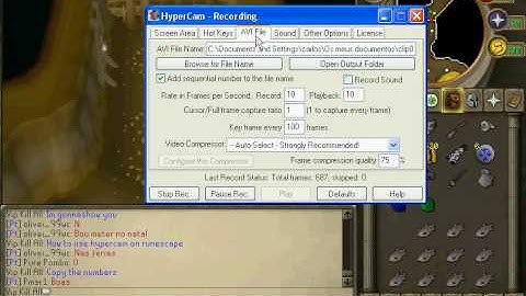 How to use Hypercam on RuneScape